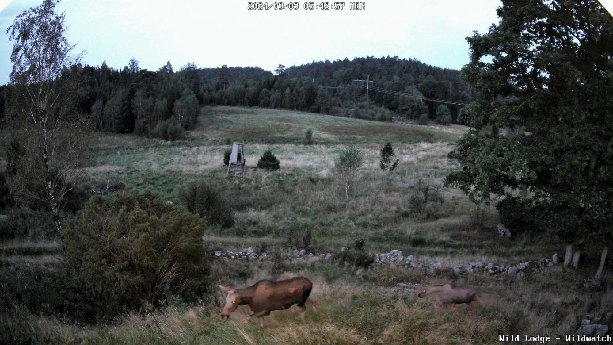 Wild Lodge Nol 外观 照片
